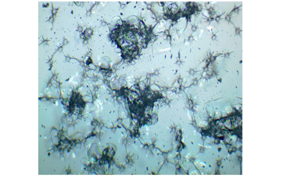 randomised impact test image showing crack system produced during randomised impact test on BK7 glass produced using NanoTest instrument from Micro Materials Ltd