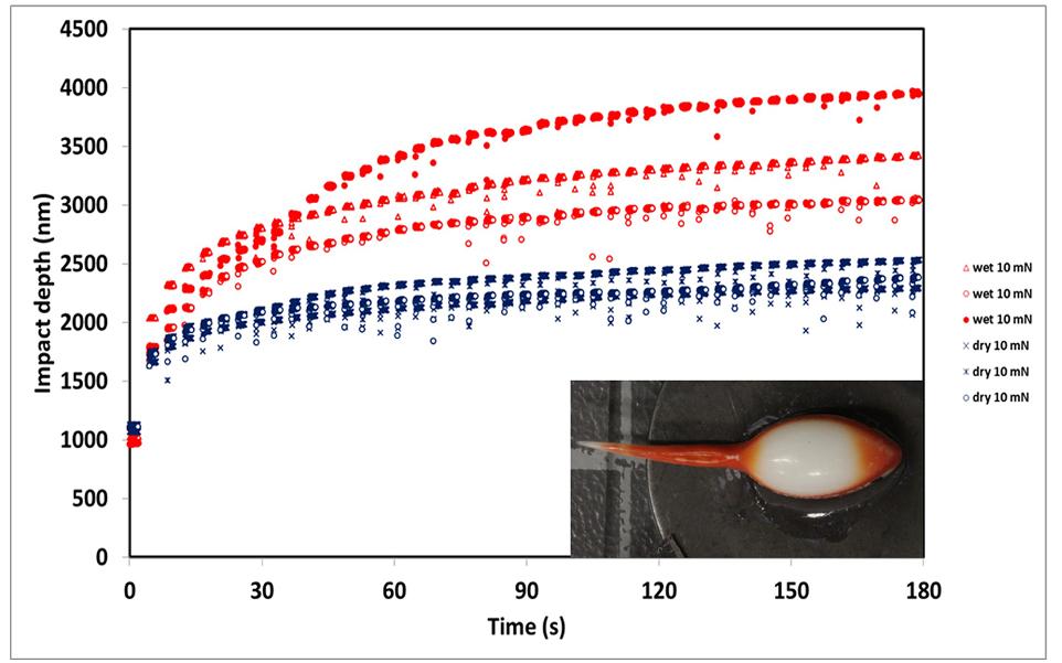 image showing results obtained from nanoimpact in liquid tests carried out using a NanoTest Vantage instrument from Micro Materials
